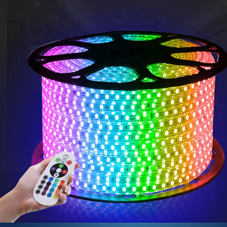 220V 110V двойной цвет 60LED 120LED высокая яркость 5050 Светодиодная лента RGB беспроводные Подсветка: светодиодная лента