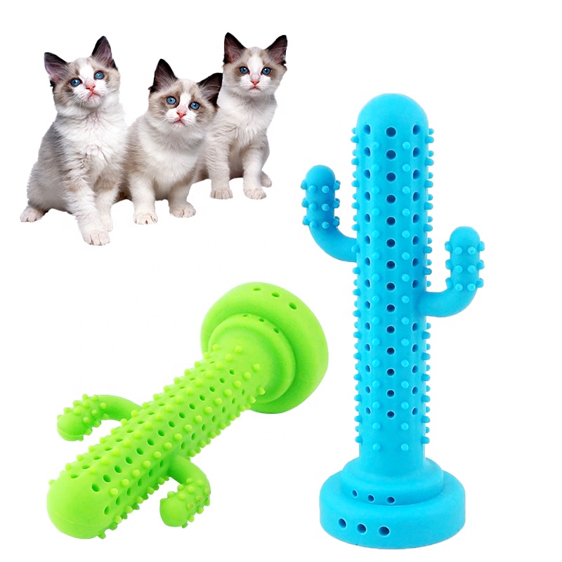 2021 Cactus shape Cats Dogs Pets toy silicone Toy Pet Toothbrush with gift box