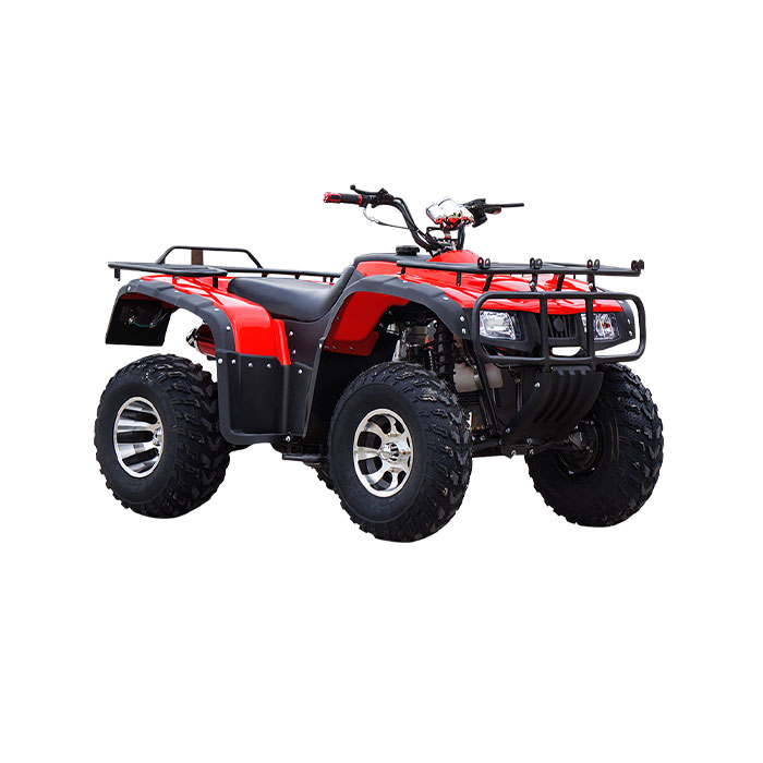 2021 горячая Распродажа внедорожный квадроцикл 90 км/ч quad 250 взрослый квадроцикл quad bike