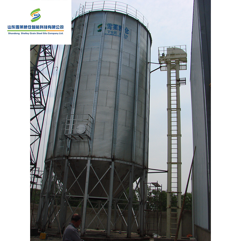 Hot Sale Agriculture Grain Silo for Chicken Farm