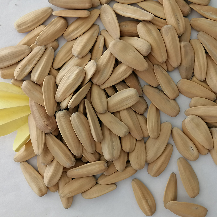 Качество качества семена подсолнечника вкус китайский завод поставляет семена подсолнечника