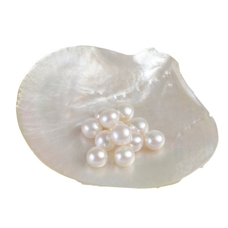 Grade 3A natural pure white wholesale cultured 2.5-15mm freshwater button pearl pine
