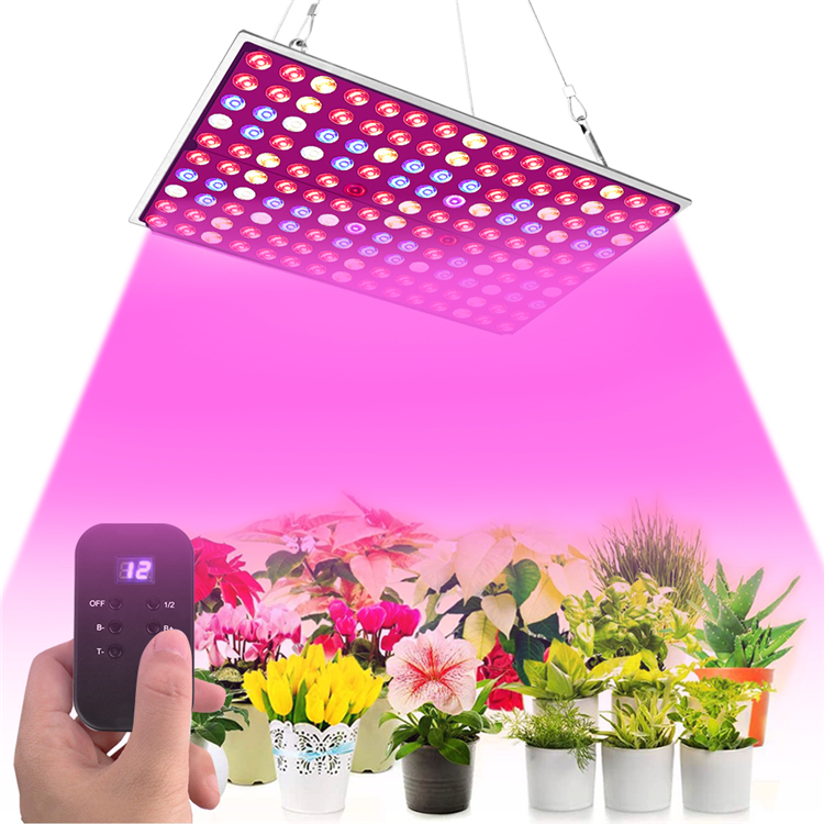 Оптовая продажа 300 w led grow light полный спектр led grow lights завод для комнатных растений с контроллером