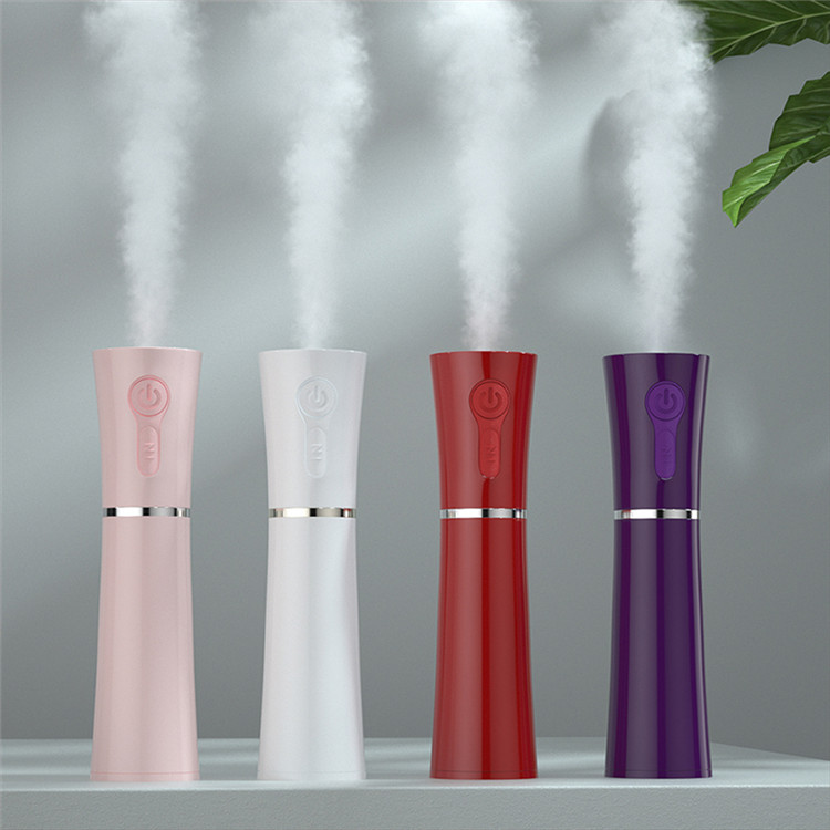Dragon Hot Sale Factory Wholesale Mini Portable Facial Steamer