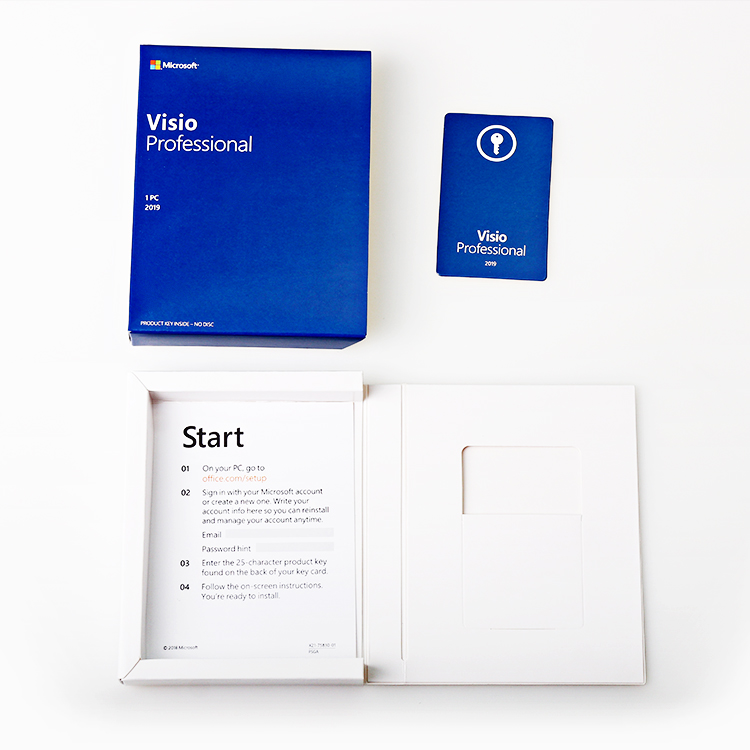 Microsoft visiono 2019 Professional visiono 2019 pro 100%, онлайн отправка по электронной почте