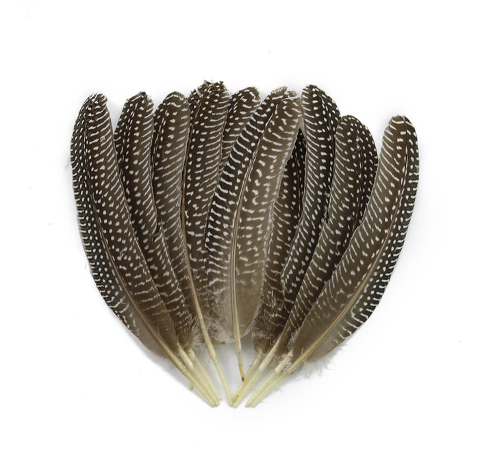 Manufacturer HP-39 DIY Decorative Dyed Guinea feather feather trim in feather