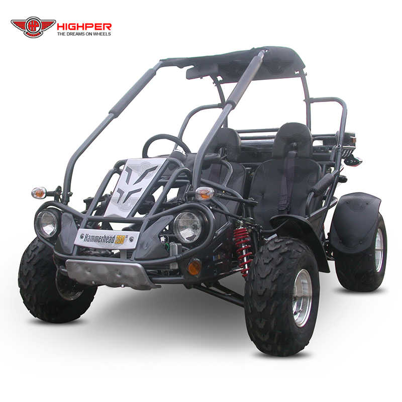 300CC 4 Дизельный двигатель с водяным охлаждением 2 сиденья Животных картинг по доступной цене, взрослых, Багги (GK006GT)