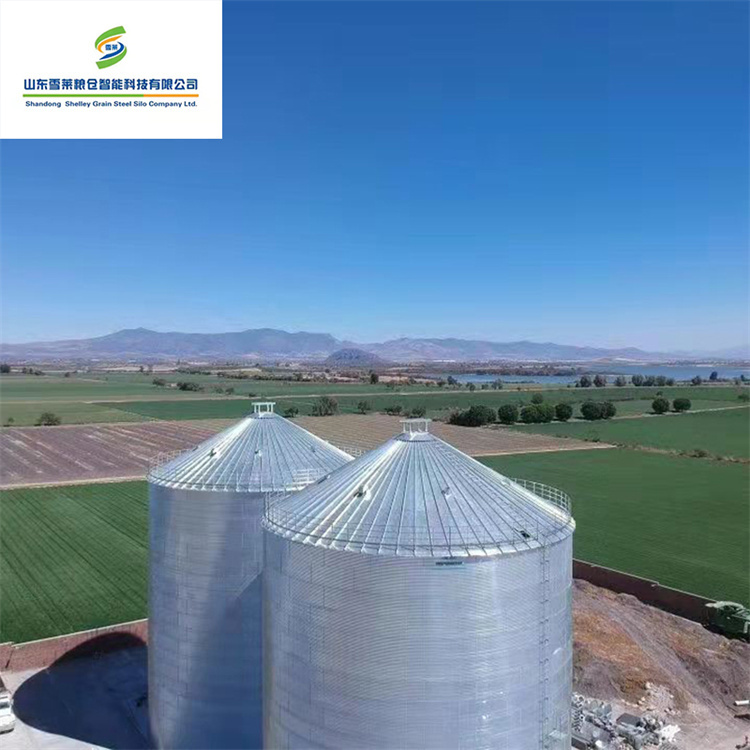 Wholesale After-sale Service Flat Bottom Silo 10 Ton with Ventilation System
