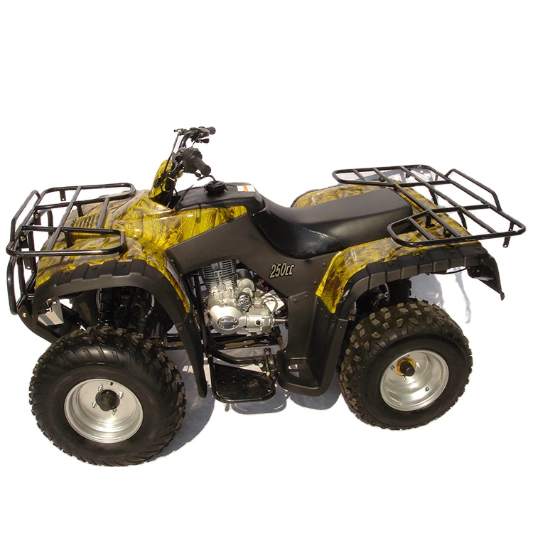 110cc 125cc 150cc 200cc 250cc 300cc Hummer Sport Racing Adult Motocycle Atv 4x4 Electric Atv Quad Bike For Sale
