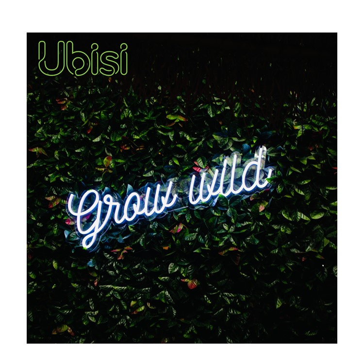 Custom package mail Drop shipping delivery fast personalized 12v 24v custom wall led neon sign flex light letters