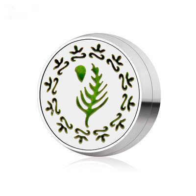 Stainless Steel Essential Oil Diffuser Clip for Face Masking Magnetic Clip Buckle Aromatherapy diffuser Locket