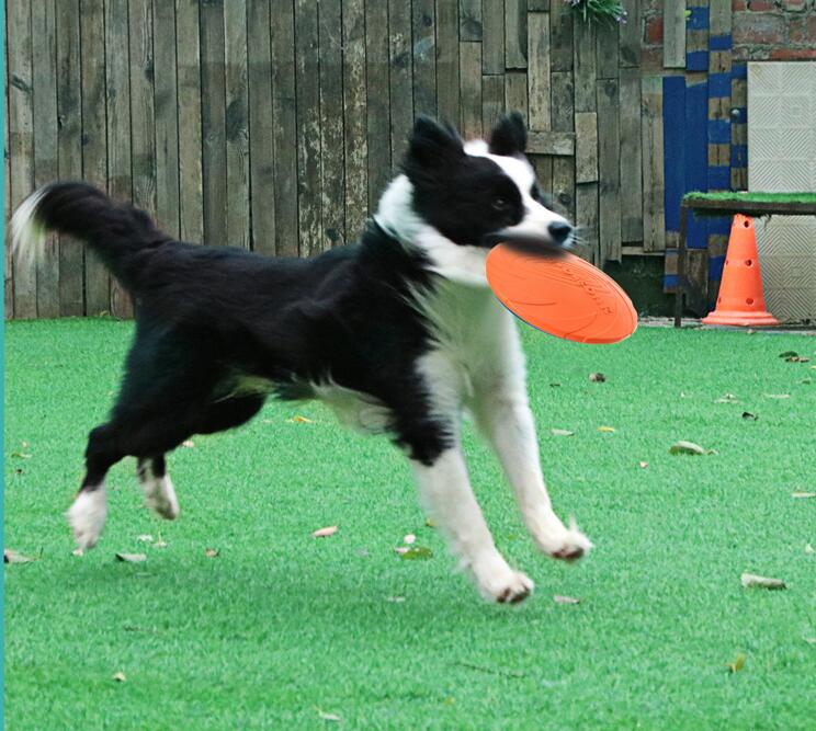 New Product Floating Dog Flying Disc Promotes dog's Instinctual Playing