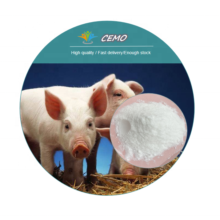 Ready stock CAS 72-19-5 L-Threonine with competitive price