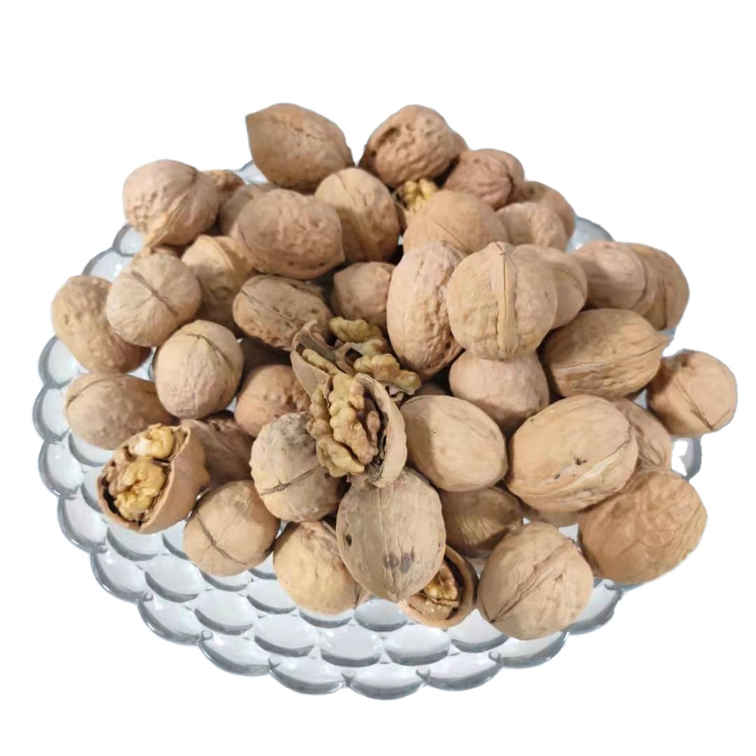 2021 Fresh Xinjiang 185 washed walnuts in shell high-quality walnuts with shells