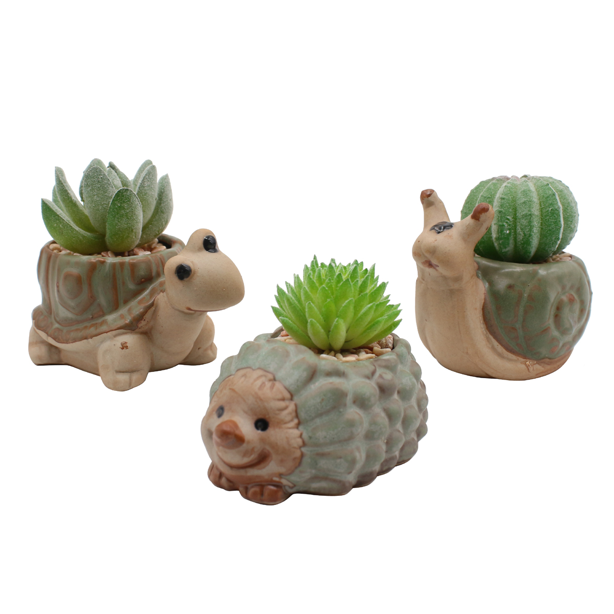 Cute Succulent plants with animal ceramic flower pots