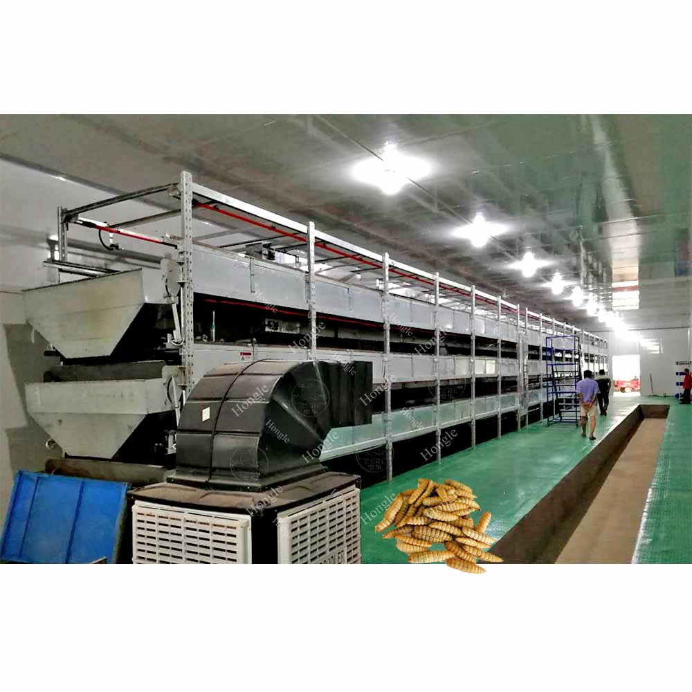 New Design Hermetia illucens Black Soldier Fly Breeding Production Equipment