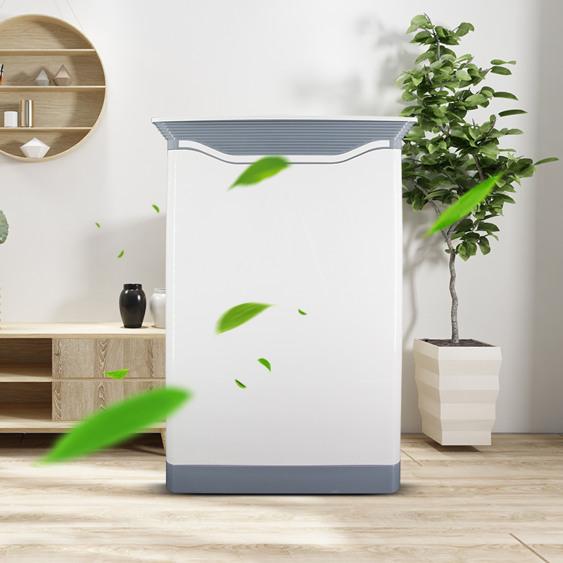 Home anion sterilizer uv ozone clean room air purifier oxygen generator uv vacuum cleaner