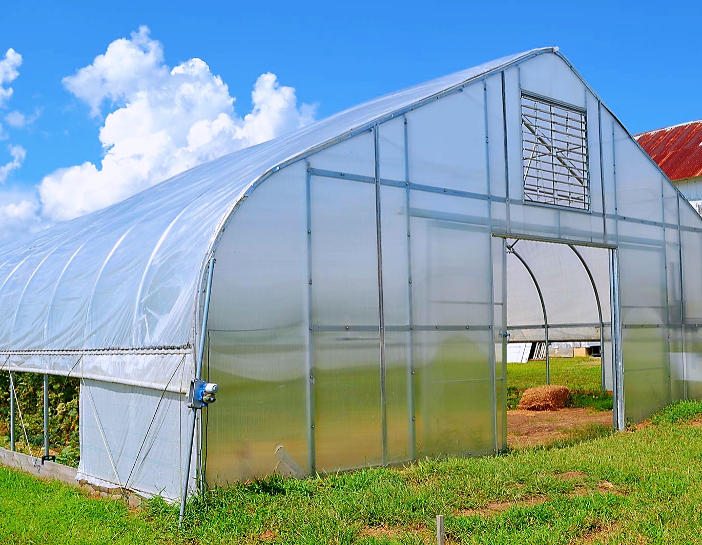 Customized Single / Multi-span Vegetable Fruit Flower Greenhouse Invernadero De Tunel For Agriculture