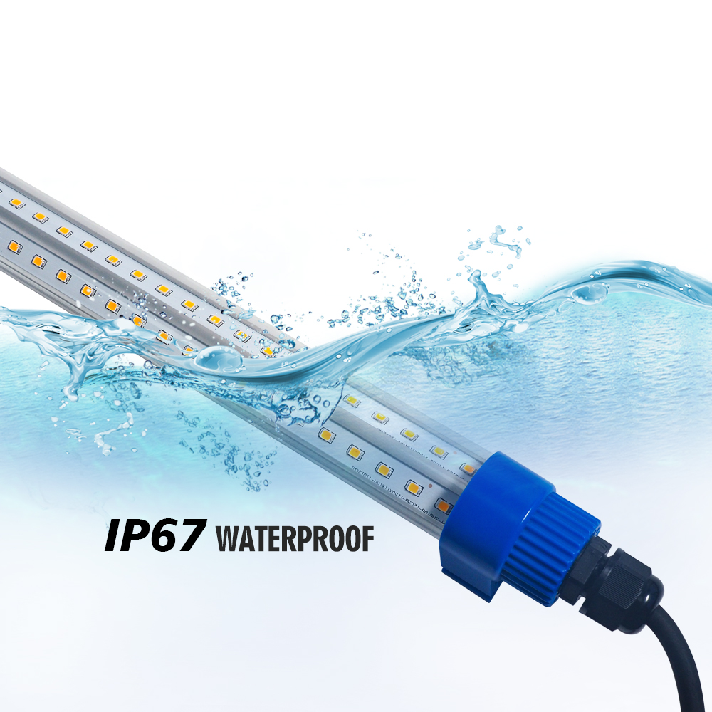 T10 LED Lamp DC12V Coop Lamp Poultry Light Waterproof IP67 Dimmable Flicker Free Led Chicken Light