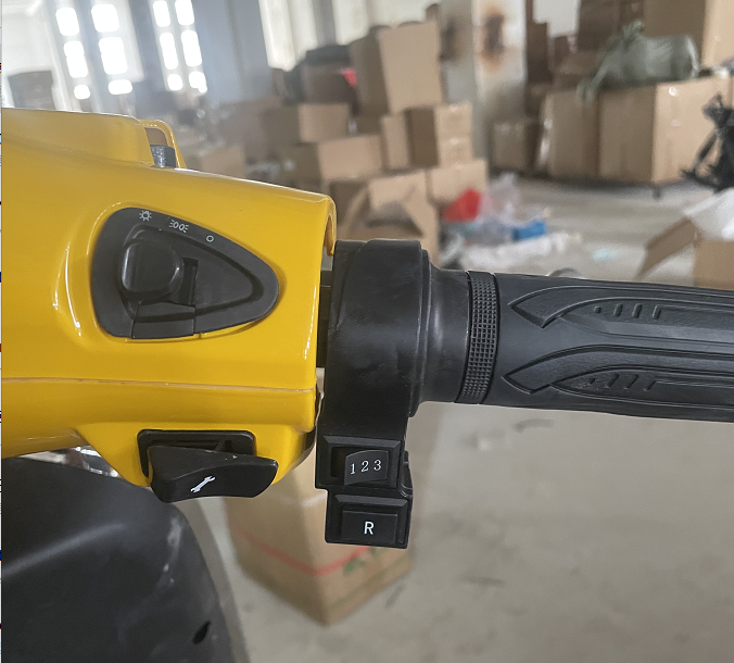 Electric scooter THROTTLE for customers the throttle