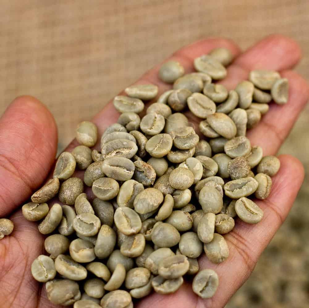 Кофе в зернах ROBUSTA S13 S16 S18, чистая и влажная полировка (Whatsaap/Viber: 0084965152844)