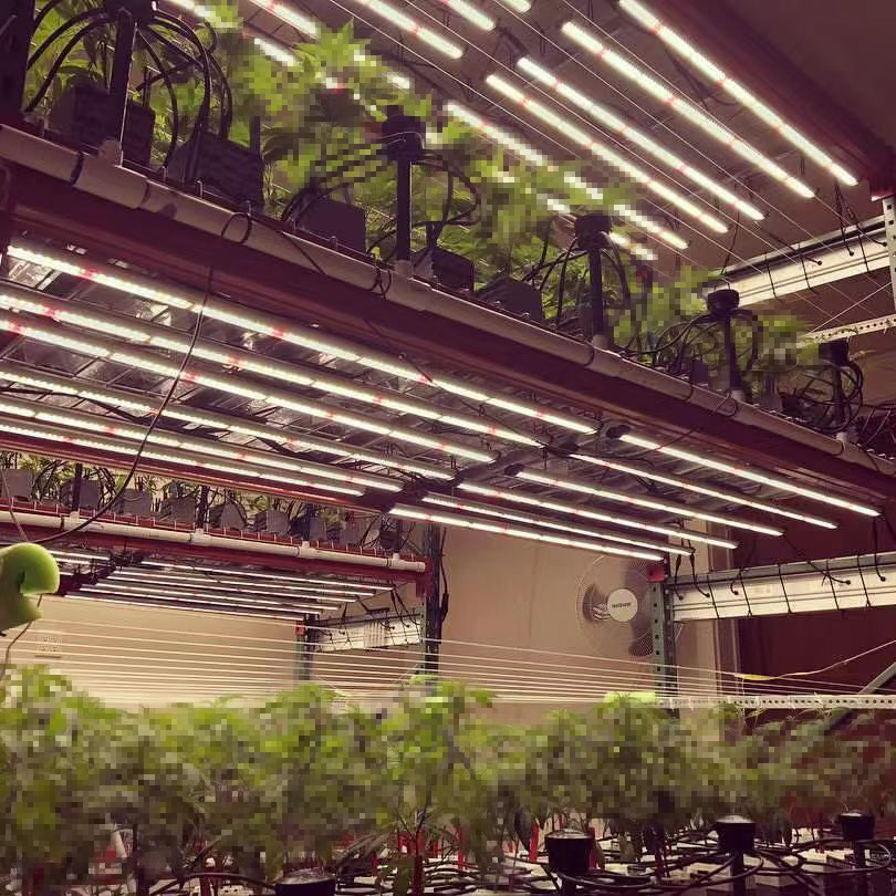 Vertical Farming Equipment Grow Rack Aeroponics Hydroponic Growing Systems