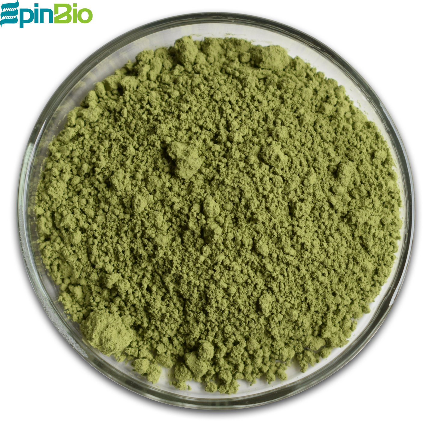Factory Supply Best Price Organic Matcha powder