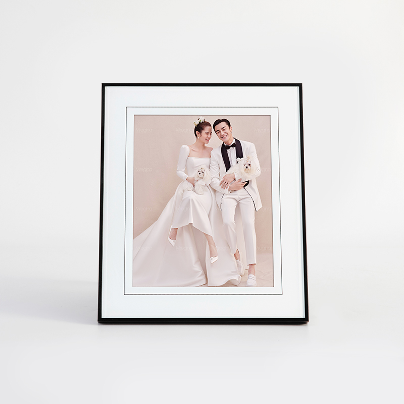 Factory Hot Sale Rectangle Modern Photo Plastic Black Swan Frame