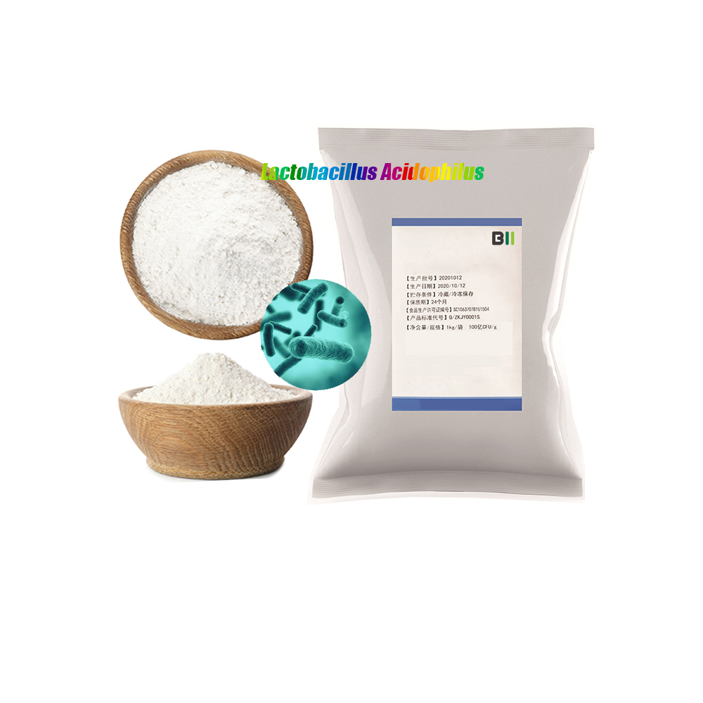 High grade Freeze dried probiotics powder of Lactobacillus acidophilus for fermented foods and probiotic-fortified foods