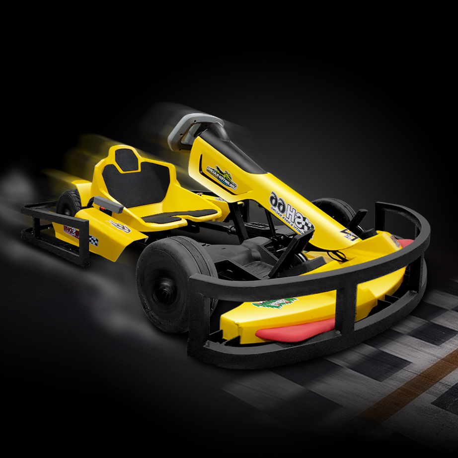 Hot Sale Cheap Gocart Electric Karting Cars Race Go Kart Ride on Car for Child Youth Adult