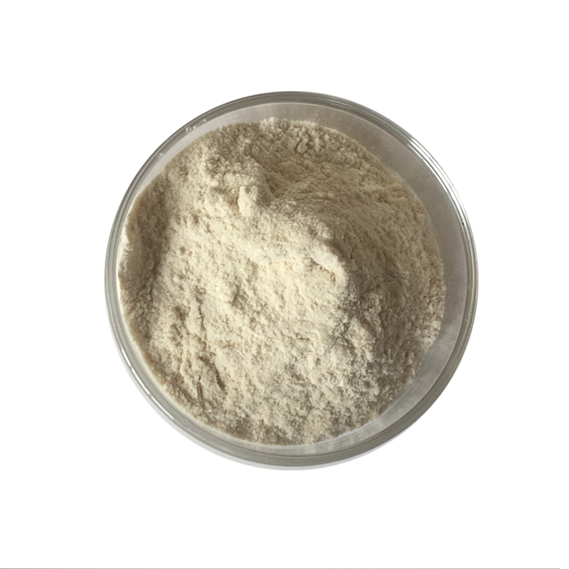 China supplied Top quality valuable probiotics powder Lactobacillus Reuteri