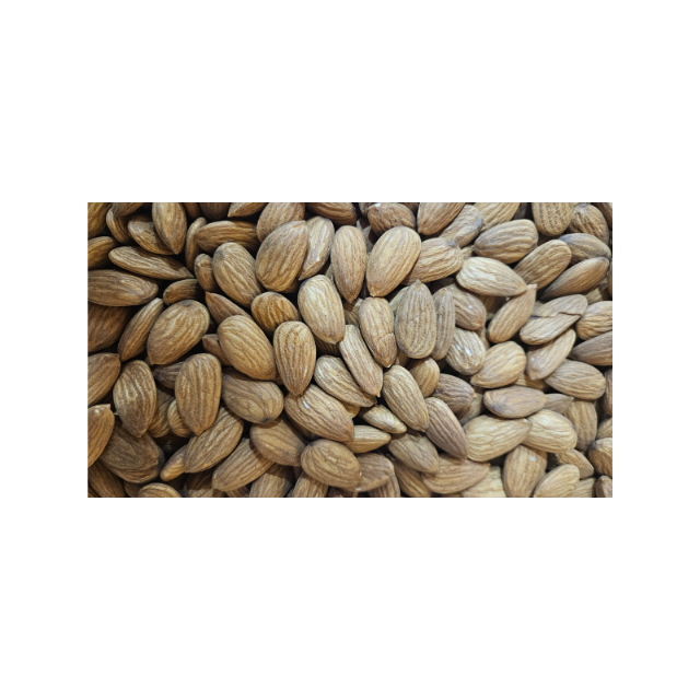 Wholesale Bulk health snacks organic Almond nut bulk Standard quality Roasted Indian almonds for Sale Ready to Ship