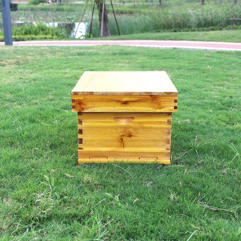 Pure fir hive