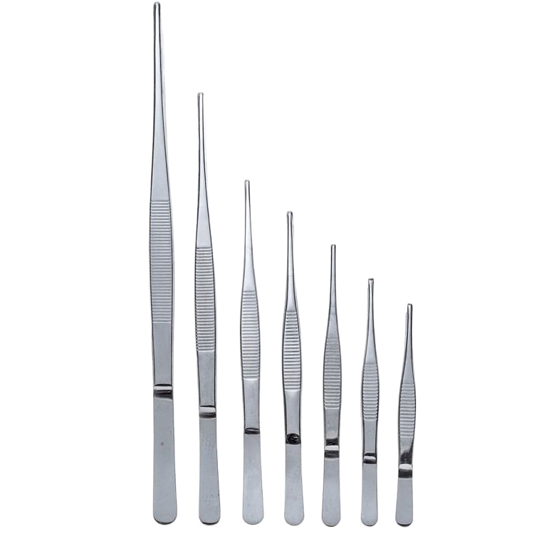 Straight Head Thicken Medical Tools Long Forceps 12.5Cm-30Cm Stainless Steel 430 Anti-Iodine Tweezers