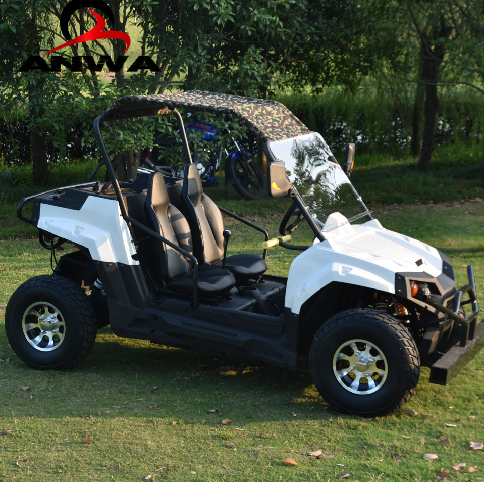 Новый 5000 Вт 4x4 Электрический UTV для продажи