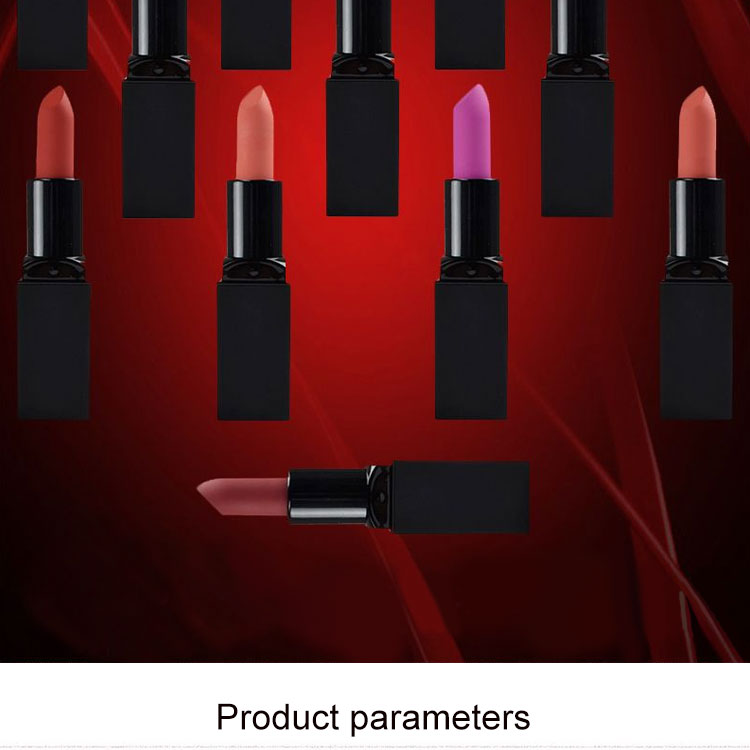 12 colors lipstick factory price lipstick private label no fade cosmetic lipstick