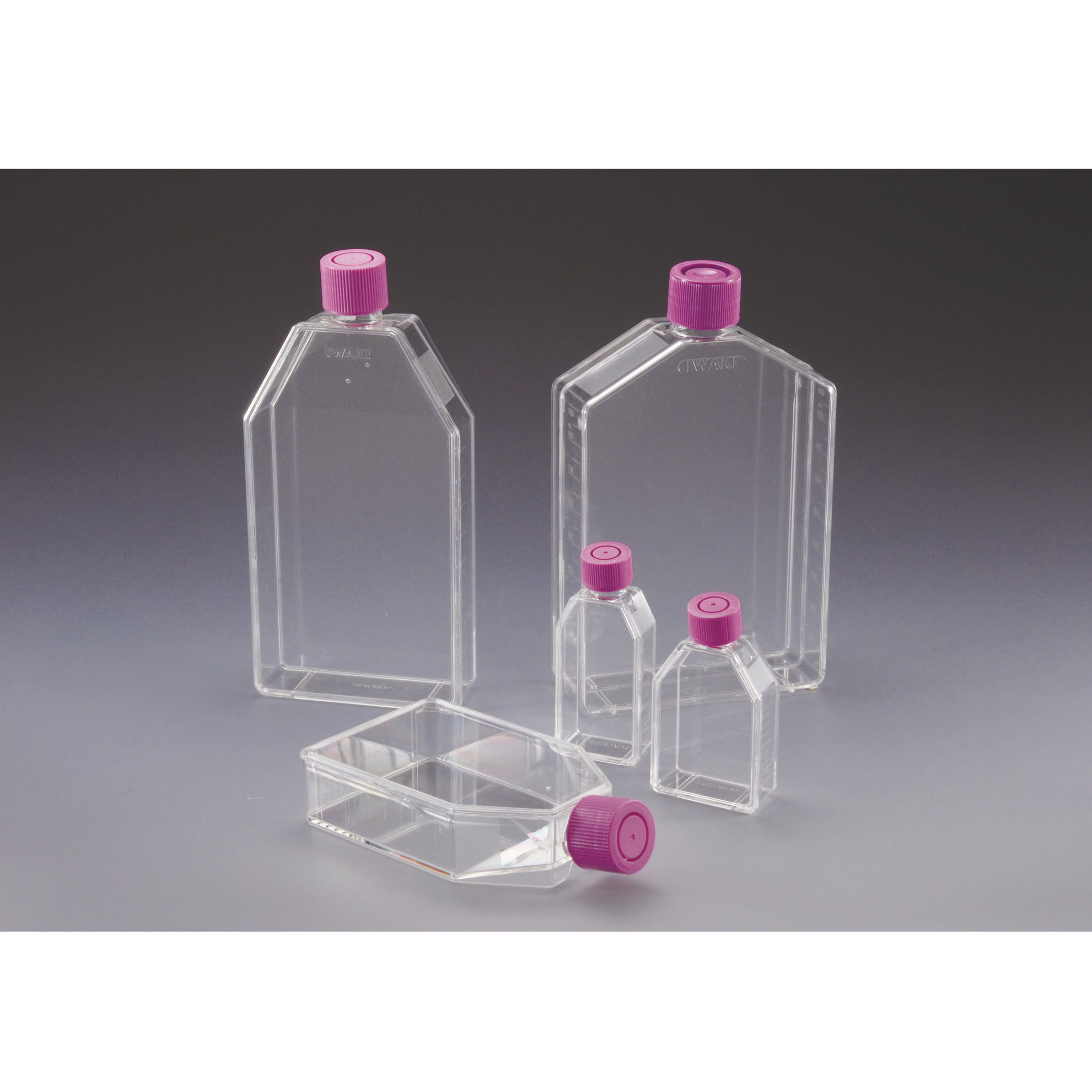 Japaneseclear фляга, алкоголь, стеклянная бутылка, различные ячейки, культура surfacesas