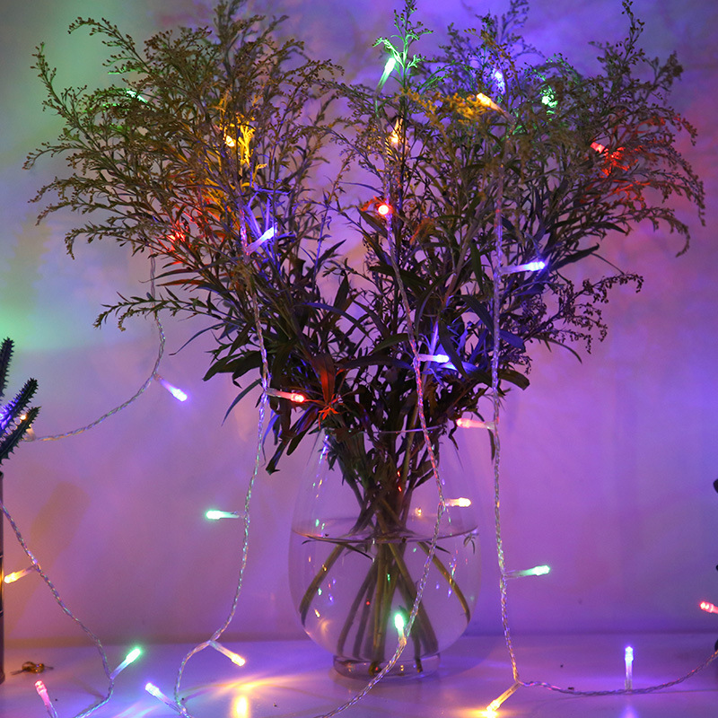Indoor Outdoor Waterproof LED Christmas Light Decoration Christmas Tree Lights LED Strings
