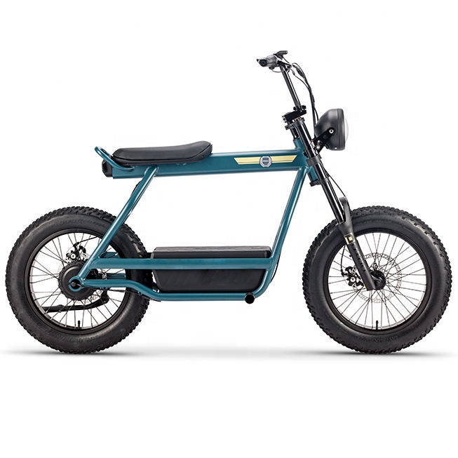 Unicool 2 wheel 2 seat 750 watt hub motor electric motorcycle scooter bike 48v for adult