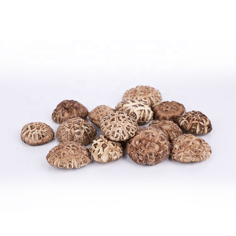 Выбранный вручную Сушеный Белый Органический цветок Shiitake гриб