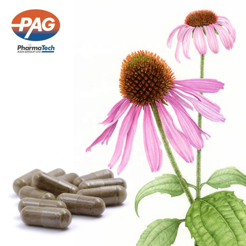 0# Gelatin Capsule Echinacea Powder 400mg Hard Capsules