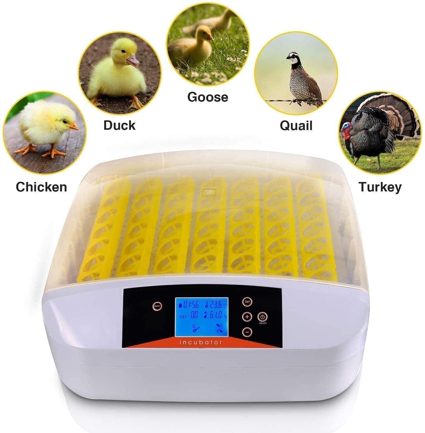 Family Used Full Automatic Brooder Mini 56 Eggs Incubator For Chicken Quail Duck and Birds Eggs Hatcher