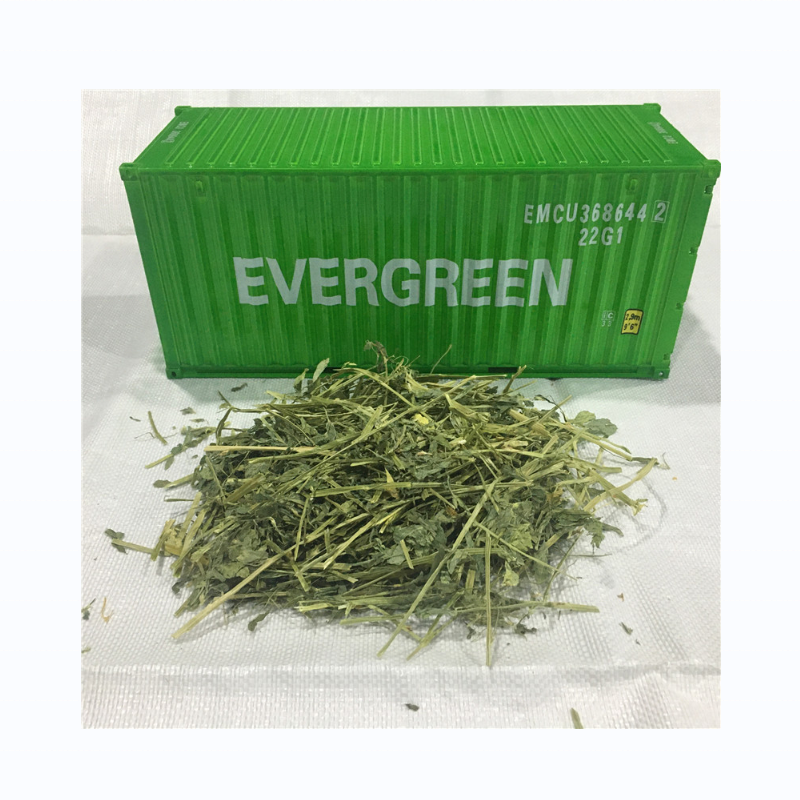 American hay Good alfalfa for Animal Feed Cattle Horse Chicken Pets