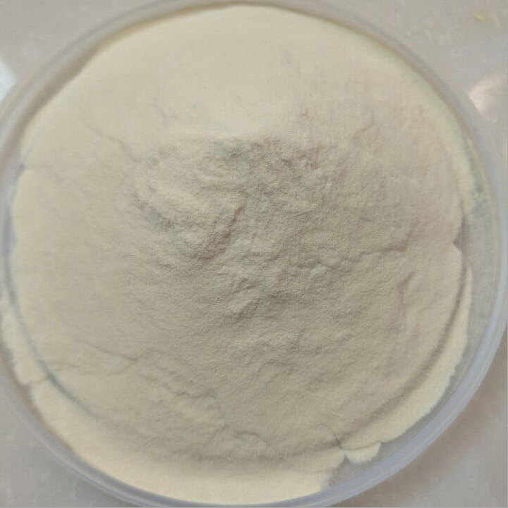 Food additives powder Xanthan gum CAS 11138-66-2 Xanthan gum 200mesh