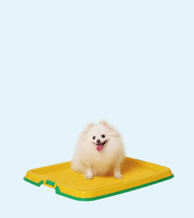 cat dog toilet pad holder
