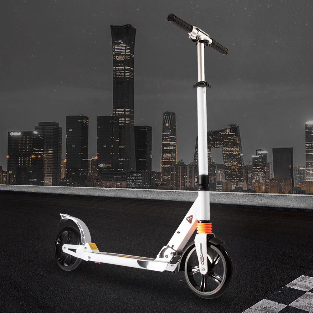 2021 New Design Flat-Plate Scooter Board with two Wheels scooter for adults