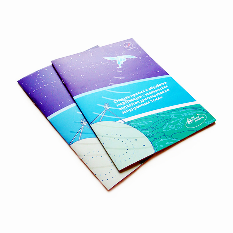Professional Custom Printing Service Cheap Advertise Paper Booklet Pamphlet Printing