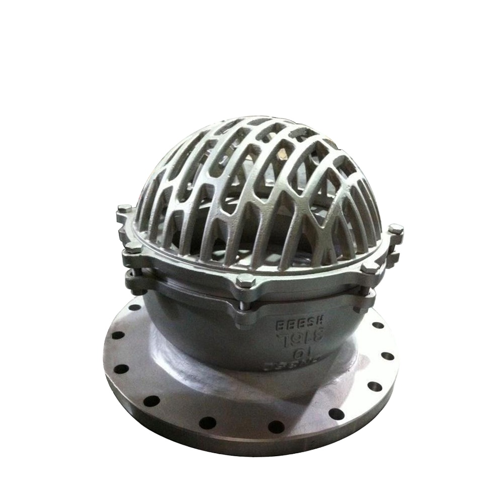 GGG50/cast iron soft seal foot valve with SS304 screen for water treatment