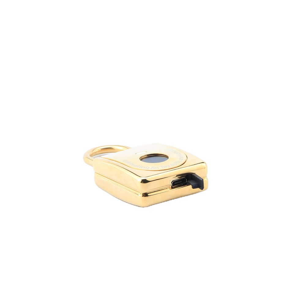 JK2002-33 Smart Digital Alarm Fingerprint Pad lock/Smart Biometric Fingerprint Padlock