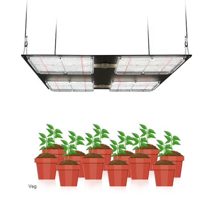 Высокая Ppfd Светодиодная лампа для выращивания MEIJIU Qb648 Lm301B, Rita Fang Growlights Lm301H 650W MEIJIU Q4 Grow Led Lights 3500k растущие лампы
